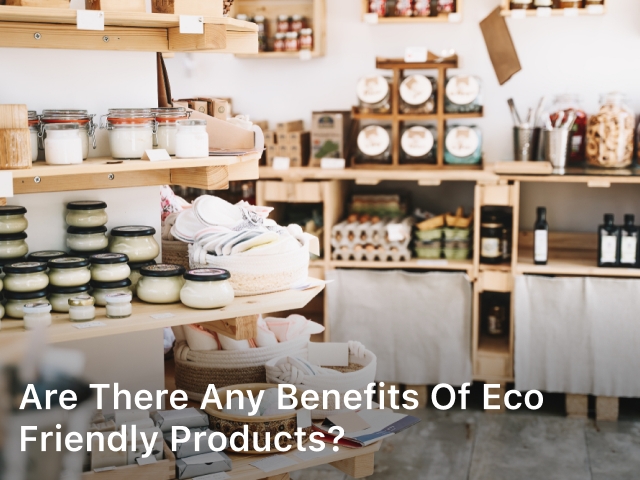 Are There Any Benefits of Eco Friendly Products