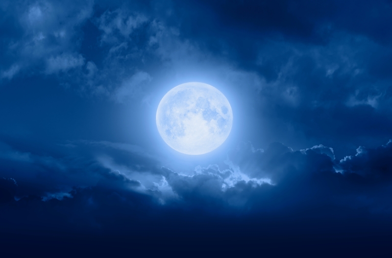 Guide to See Full Moon September 2024 Eco Warrior Nation