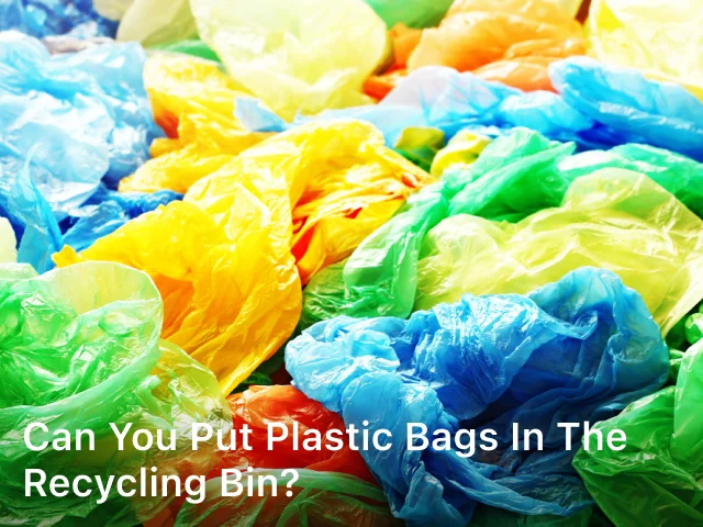 Can You Put Plastic Bags in the Recycling Bin
