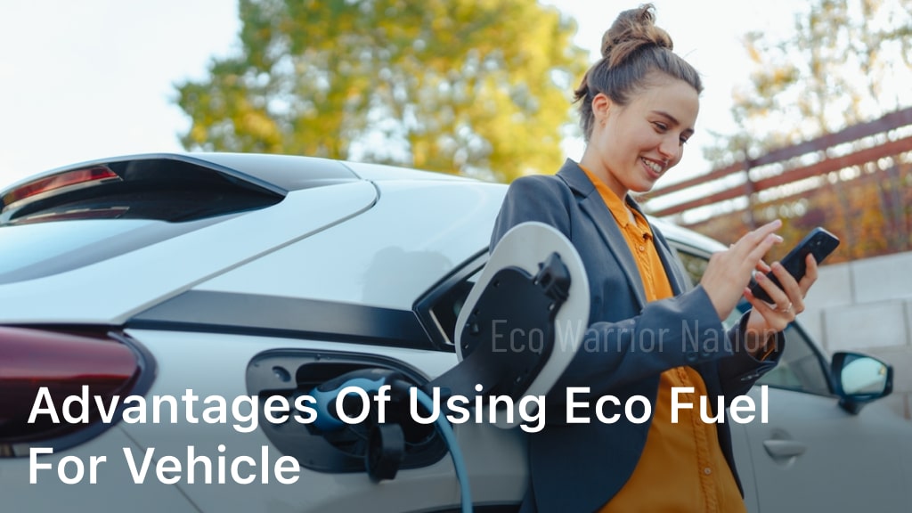 Advantages of Using Eco Fuel for Vehicle