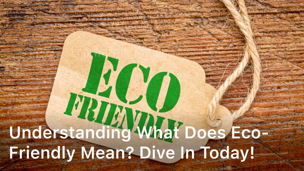Understanding What Does Eco-Friendly Mean Dive In Today
