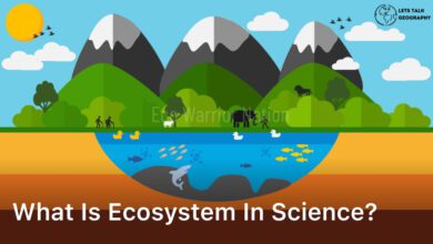 What is Ecosystem in Science?