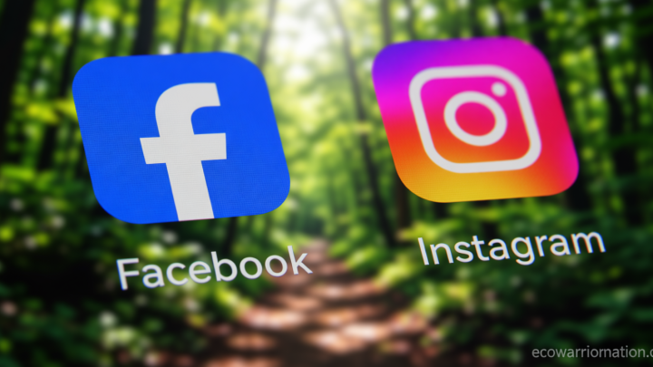 Meta to launch paid subscriptions for Instagram, Facebook, WhatsApp