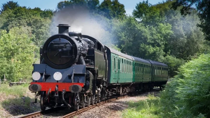 The ‘magical’ £10 wine train that’s just an hour away from London