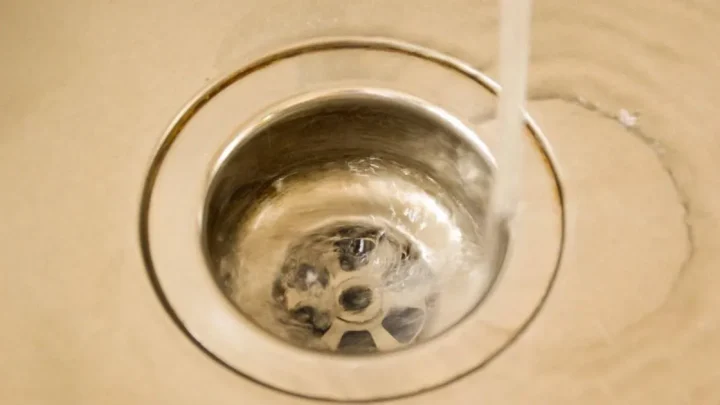 Inside the 49,000-member movement dedicated to peeing in the sink