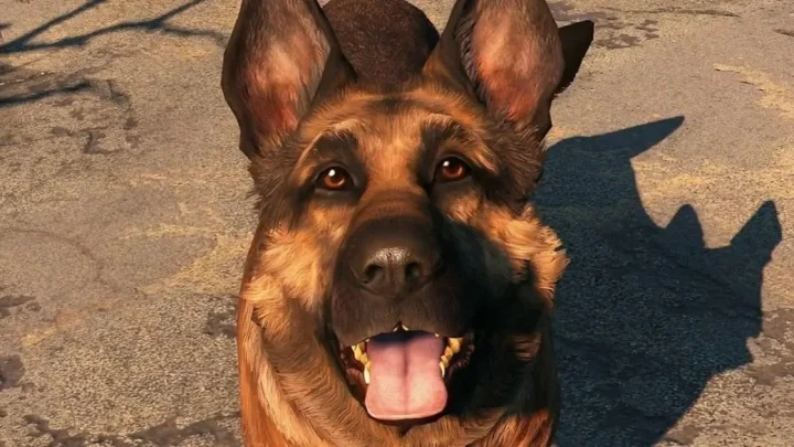 Woman’s life saved from gun-wielding dog by gaming PC