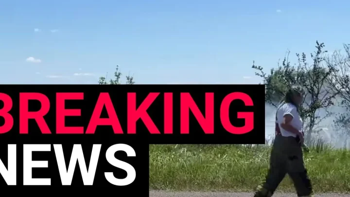 Twelve people killed after ‘skydiving’ plane crashes in Butler