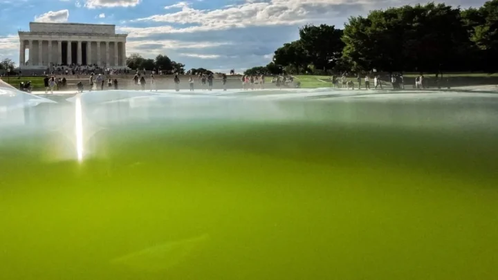 Paint is already peeling on Trump’s $14,700,000 Washington reflecting pool renovation