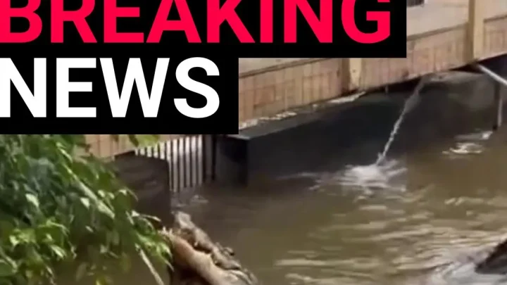 Boy, 3, fighting for life after ‘stranger throws him into crocodile pit’