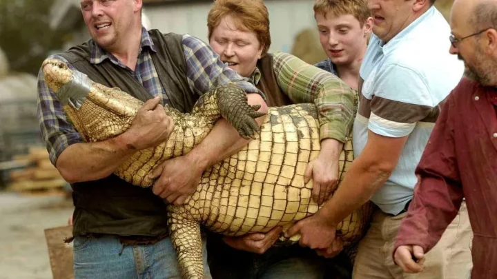 Heroic zookeeper and family jumped into crocodile pit after boy, 3, was ‘thrown in’