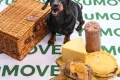 The picnic foods that add hundreds of calories to your dog’s diet