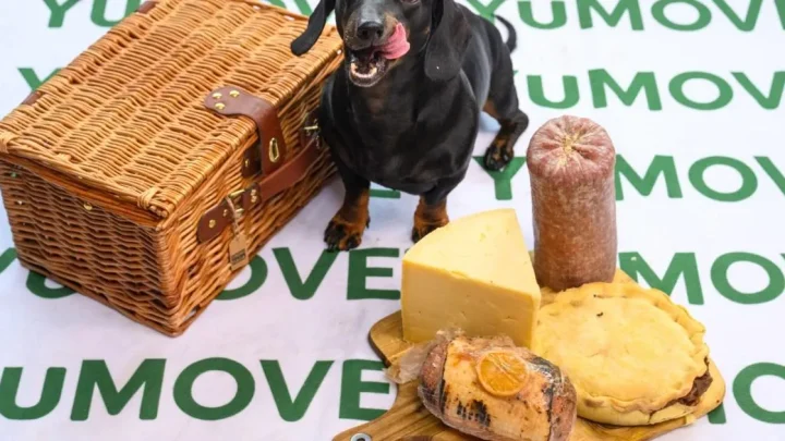 The picnic foods that add hundreds of calories to your dog’s diet