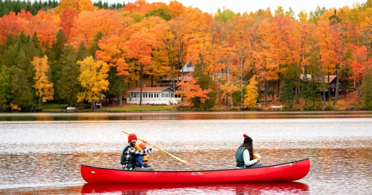 An easy drive from Boston, this wild coastal state is the US road trip you need to take