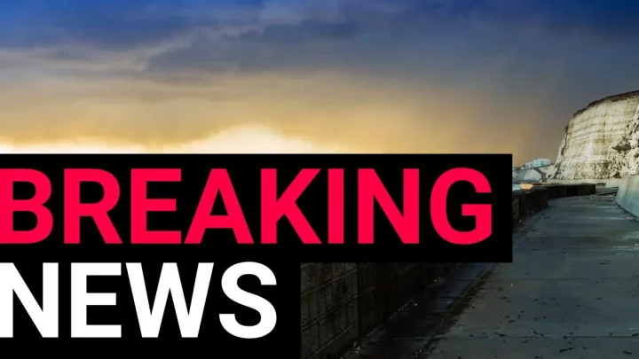 Driver killed after white van plummets off cliff at Sussex beauty spot