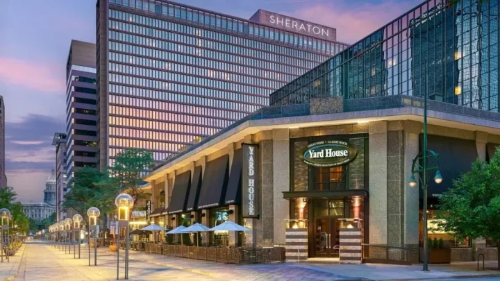 Pilot sues hotel after being bitten by ‘rabies-infected’ bats in bed