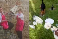 Let them actually eat cake — the ‘gross’ wedding stunt upsetting the internet