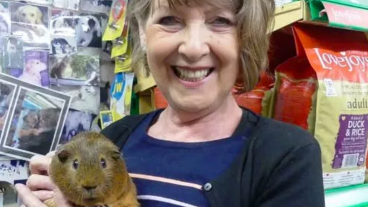 Murder investigation launched after head-on crash kills pet shop owner in her 70s